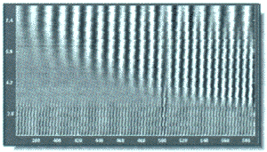 Wavelet-,        wavelet 