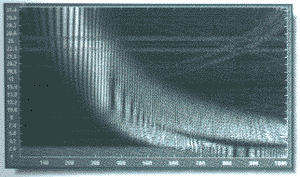   wavelet-,       wavelet 