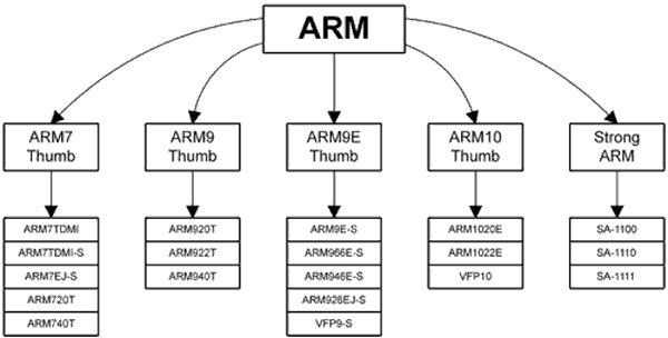 Процессорные ядра фирмы ARM.