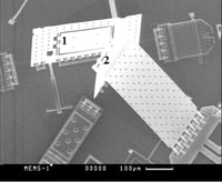 РЭМ-снимок микрозеркала и управляющего электрода в рабочем положении (перпендикулярно подложке).