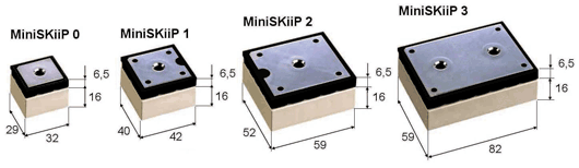   MiniSKiiP 